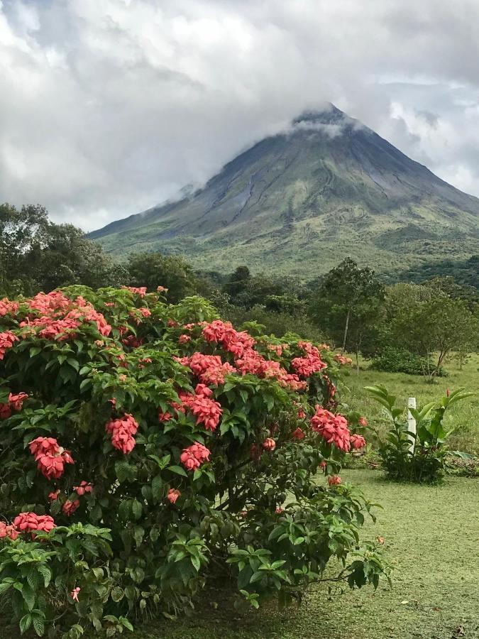 Arenal Roca Suites La Fortuna Luaran gambar